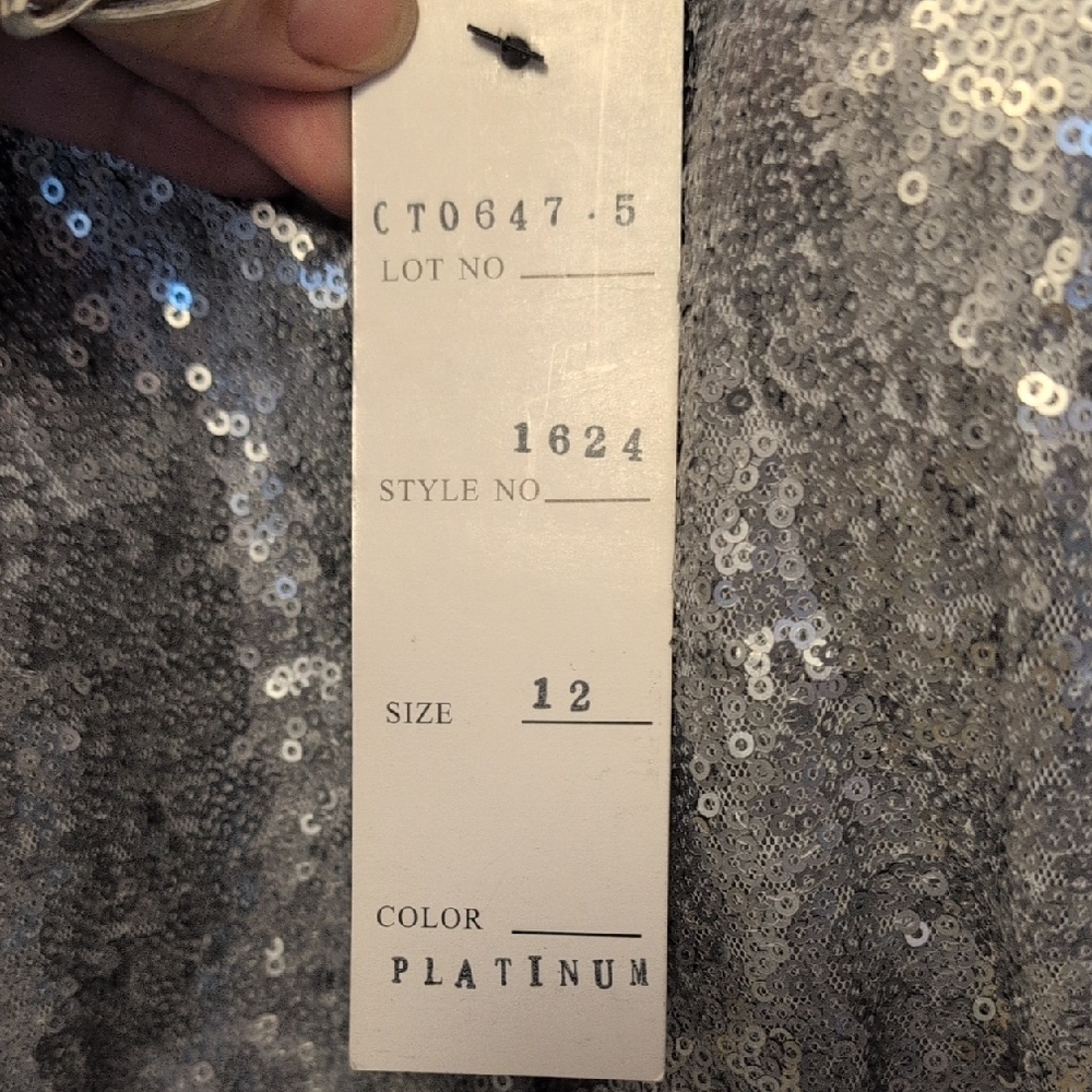 Bari Jay Silver Sequin Dress - Picture 4 of 8